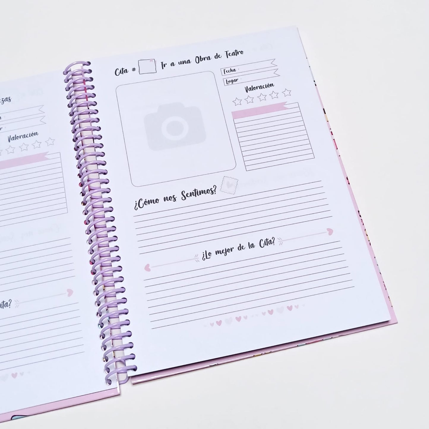 Planner de 100 Citas