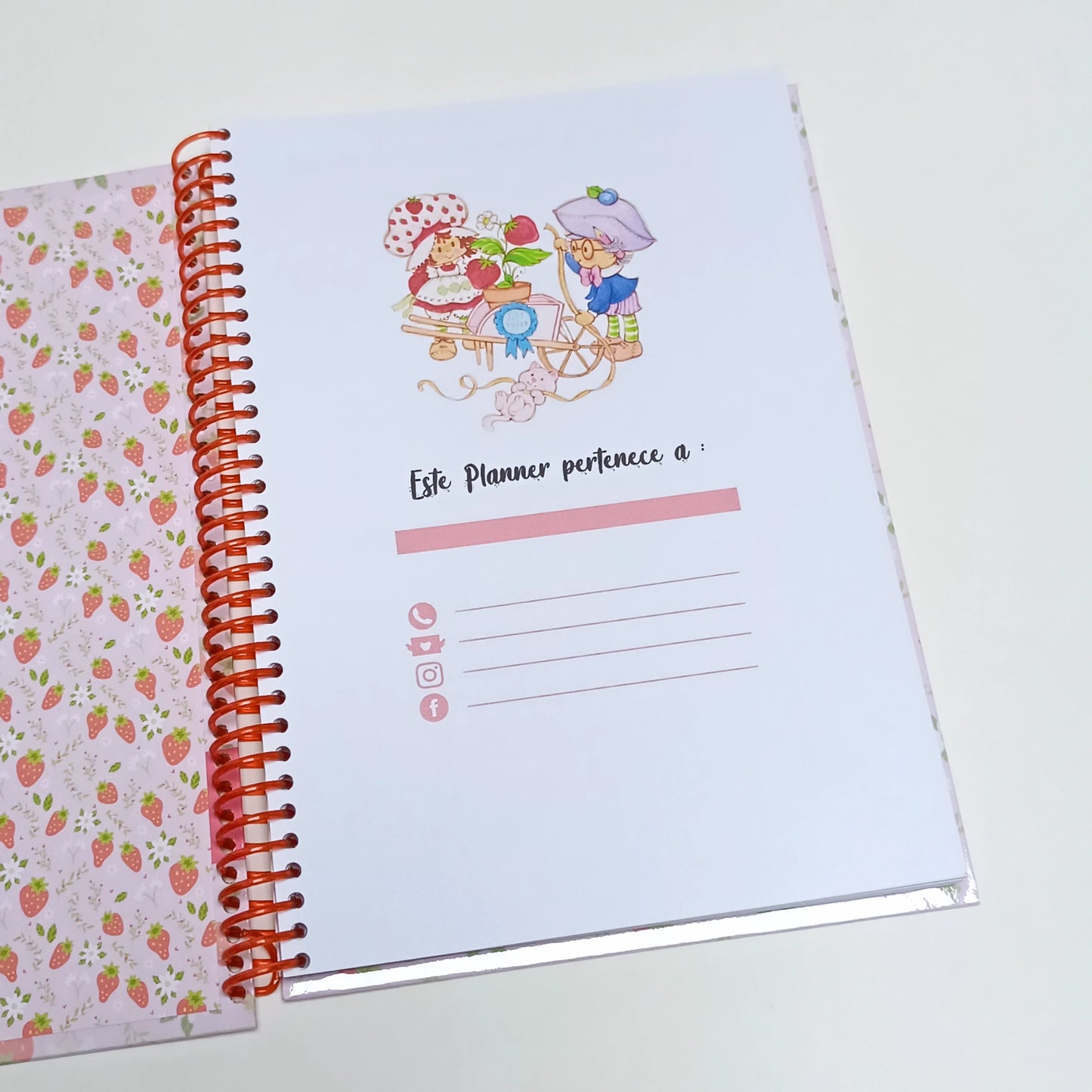 Recetario Frutillita