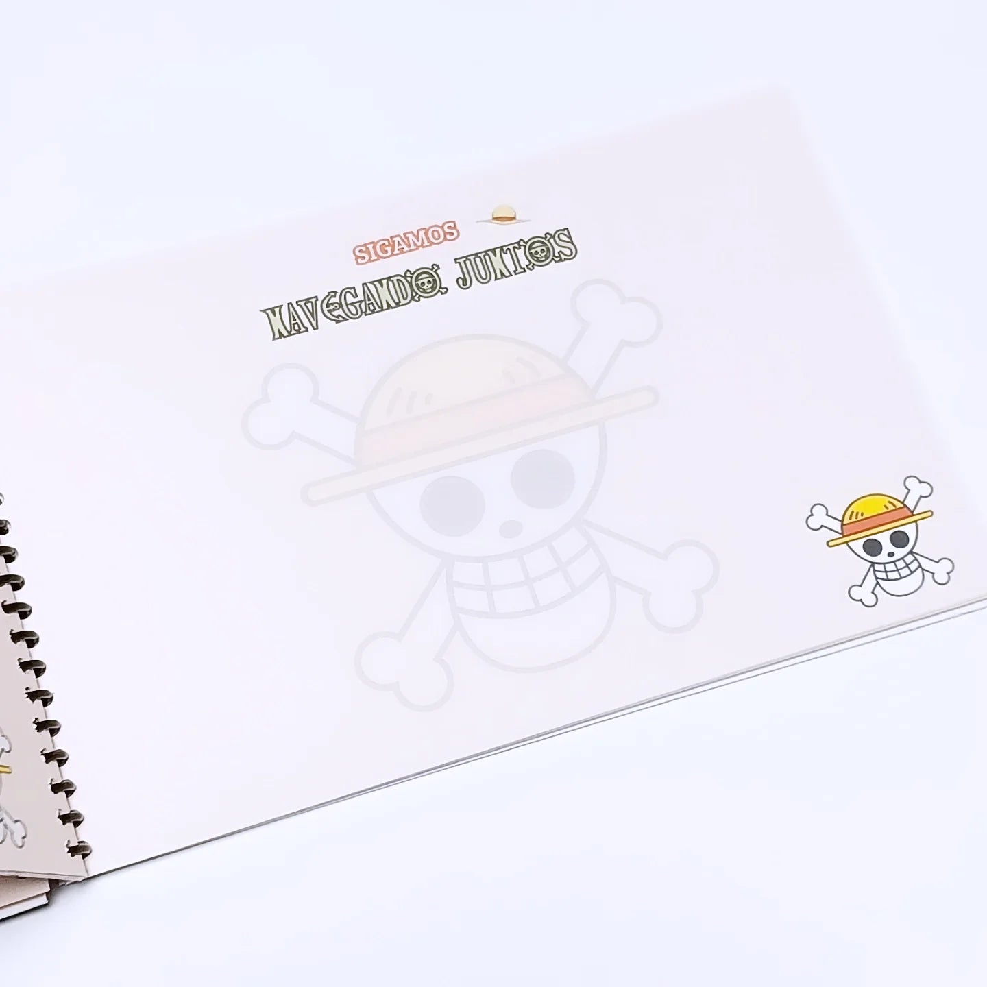 Libro de Recuerdos One Piece