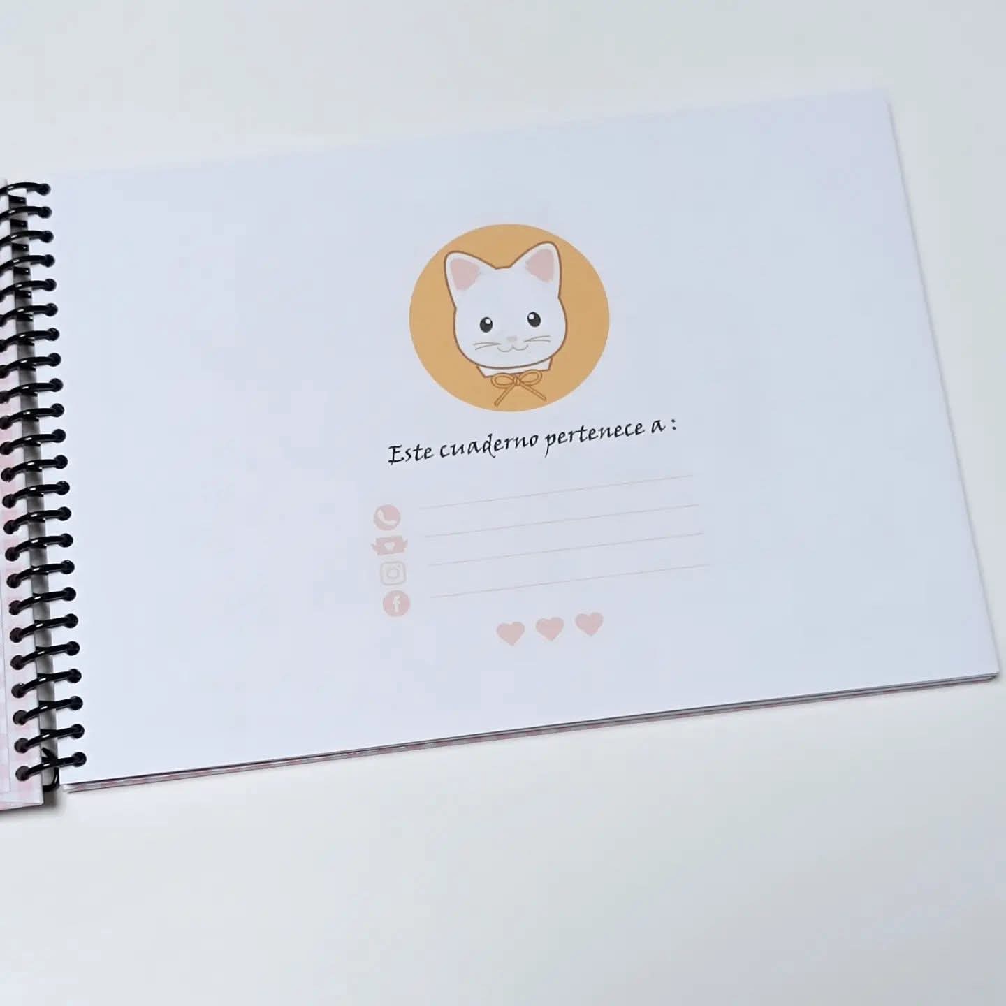 Libro para Pintar A5  Sylvanian